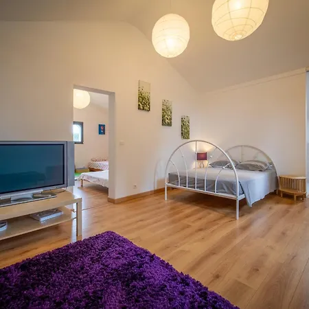 Bed & Breakfast Les De Lagarrigue, Soiree Etape Senouillac