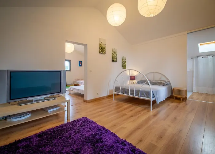 Bed & Breakfast Les De Lagarrigue, Soiree Etape Senouillac